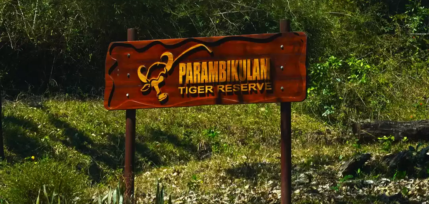 Parambikulam Tiger Reserve forest